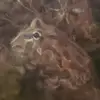 Fred - @freds.story - TikTok
