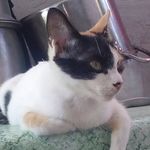 Fred Stott - @stottmace - Instagram