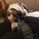 Fred Straine - @fredstraine - Instagram