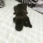 Fred Street - @street.fred - Instagram