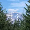 Ridge Runner - @fredsickler - TikTok