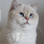Fred strong - @fredstrong92 - Instagram