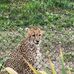 Fred Stumbo - Facebook