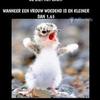 fredsturm - @fredsturm - TikTok