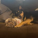 Fred Suchy - @the_mediocre_gatsby__ - Instagram