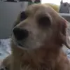 suchyfred - @suchyfred - TikTok