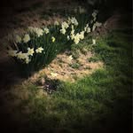 Fred Sumpter - @sumpterfred - Instagram