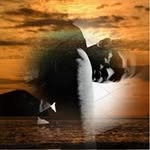 Fredson Taavinz - @taavinz - Instagram