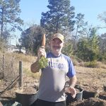 Fred Tait - @taitfred - Instagram
