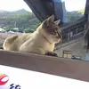 Fred Tang - @2182664439 - TikTok
