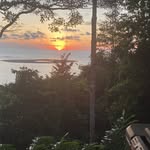 Fred Tanner - @fredtanner23 - Instagram