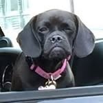 Fred Tanner - @fredtanner7349 - Instagram