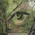 Frédéric Tavernier - Facebook