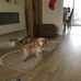 Fred Teague - Facebook