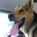 Fred Ted - Facebook
