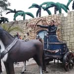 Fred Teixeira - @fredteixeira009 - Instagram