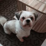 Fred Teixeira - @fredteixeira37 - Instagram