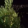 Fred Teixeira - @fred.teixeira5 - TikTok