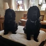 Fred Teller - @fred.teller.33 - Instagram