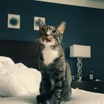 Frederick J. Templeton - @frederickjtempleton - Instagram