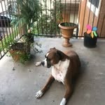Fred Tennison - @fredtennison - Instagram