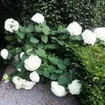 Fred Teo - @fred.teo.5 - Instagram