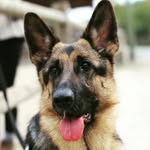@fred.terrade - Instagram