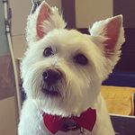 fred tessier - @fredtessier8 - Instagram