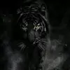 fred thackerson - @fredthackerson2 - TikTok