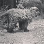 Fred Theis - @zobel007 - Instagram