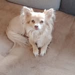 Fred Theissen - @fredtheissen - Instagram