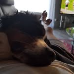 Fred Theiss - @emma_der_berner - Instagram