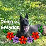 Freddy Theiss - Facebook