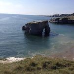 Fred Thibault - @thibaultfred - Instagram