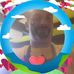 Fred Thibault - Facebook