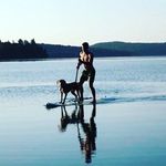 Frédéric Thibault - @fred.thibault - Instagram