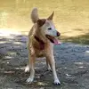 Frederick Thurman - @frederick.thurman1 - TikTok