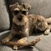 Alfred Tibbetts - Facebook
