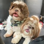Tilly&Fred - @tilly_e_fred - Instagram