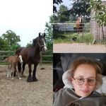 Frederieke Timmerman - @frederieketimmerman - Instagram