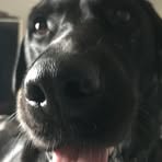 Fred Todd - Facebook