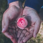 Fred Tom - @fredtom1 - Instagram