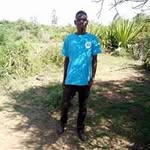 Fred Tom - @fredtom3987 - Instagram