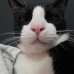 Frederico e Thompson - @_fredtom - Instagram