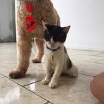 @fred.tom.lina.lolo - Instagram