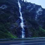 Fred Tomlin - @t.e.a.l.a.s - Instagram