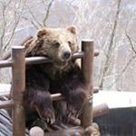 佐野 俊彦 - @fredtoshi - Instagram