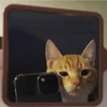 Fred - @fred_town_ - Instagram