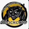 meow - @backcatsfredtown - TikTok