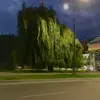 Radrigos - @fredstown - TikTok